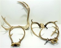 * 4 Sets of Deer Antlers