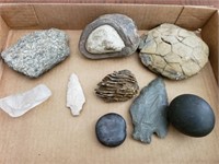 Fossils & Various Stones