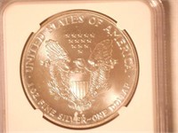 1990 American Eagle, Silver 1 Dollar