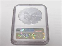 2013 American Eagle, Silver 1 Dollar