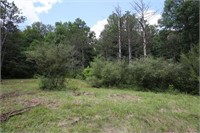 21 Wooded Acres - Washboard Rd, Greene County, IN