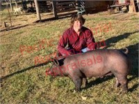 Clackamas County Junior Livestock Auction