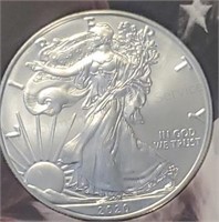 2020 Silver Eagle