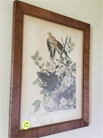 ANOTHER FRAMED BIRD PICTURE