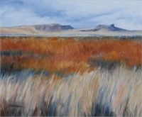 Diane Hausmann, Buttes Over Freezeout