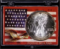 1992 Silver Eagle Bullion Coin Toned in Case