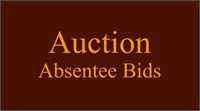 Absentee Pre-Bid Auction