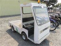 Taylor-Dunn Electric Cart
