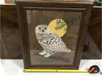 Unique Owl Art