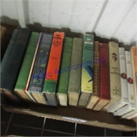Assorted hardback storybooks