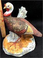 National Wild Turkey by W.D. Gaither