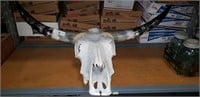 Bull Horns on Skull