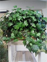 Green ivy and concrete planter