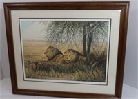 2 Lion Prints by Clive Kay '89-Signed 180-600,