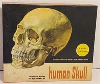Human Skull Assembly Kit by Renewal