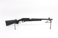 Ruger 10-22 Carbine 22 LR