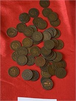 (49) Indian Head pennies