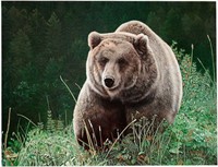 Charles Fracé "Unrivaled Grizzly Bear" LE/ Canvas