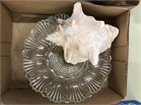 shell/ plate