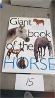 HORSES BOOK