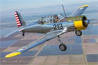 Private World War II Airplane Flight