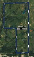 TRACT 4 - 238 Acres
