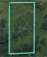 TRACT 8 - 312± Acres