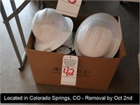 LOT, (10) HARD HATS IN THIS BOX