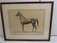 Antique Framed Horse Print by Anderson-Title