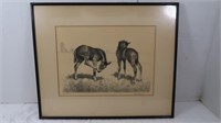 Antique Framed Colt Picture by Anderson-"Fly