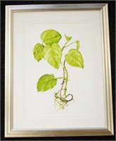Patricia Prince, "Heart Leaf Philodendron"