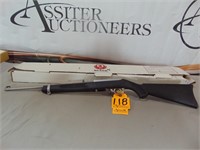 Ruger 10/22 Stainless 22LR Rifle