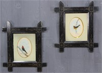 Victorian Bird Feather Assemblages