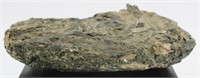 828g Geological Mineral Specimen