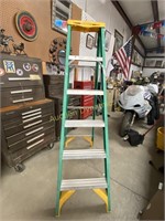 6' Werner Fiberglass Ladder