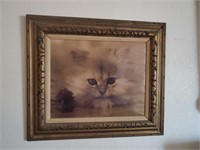 Framed Art, Cat