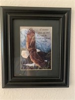 Small eagle picture
