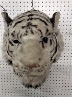 wall mount tiger plush from s.a. zoo 28 x 20