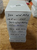 5-20ct Boxes of .300 Win Mag