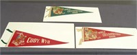 Rodeo Pennants