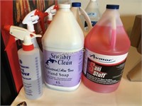 Hand Soap, Disinfectant, Bleach & Spray Bottles