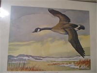 Canada Goose framed print