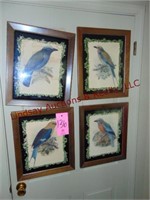 4 framed bird pictures