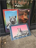 3 Tiger Posters
