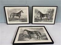 3 Framed Horse Prints