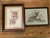 2 Deer prints