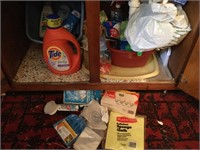 Contents of cabinet under sink