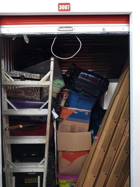 ONLINE STORAGE AUCTION