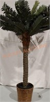 Decorative Sago Palm Tree