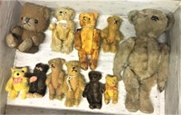 (11) Vintage Teddy Bears in Case